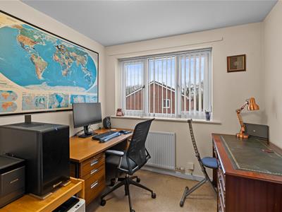 Picture 15